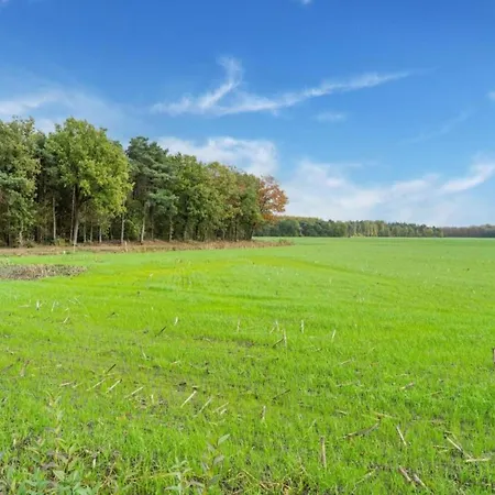 Tranquil Countryside