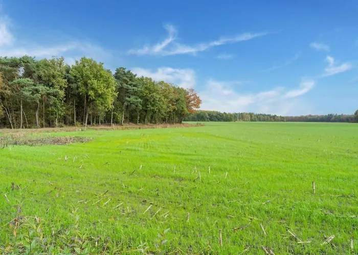 Tranquil Countryside
